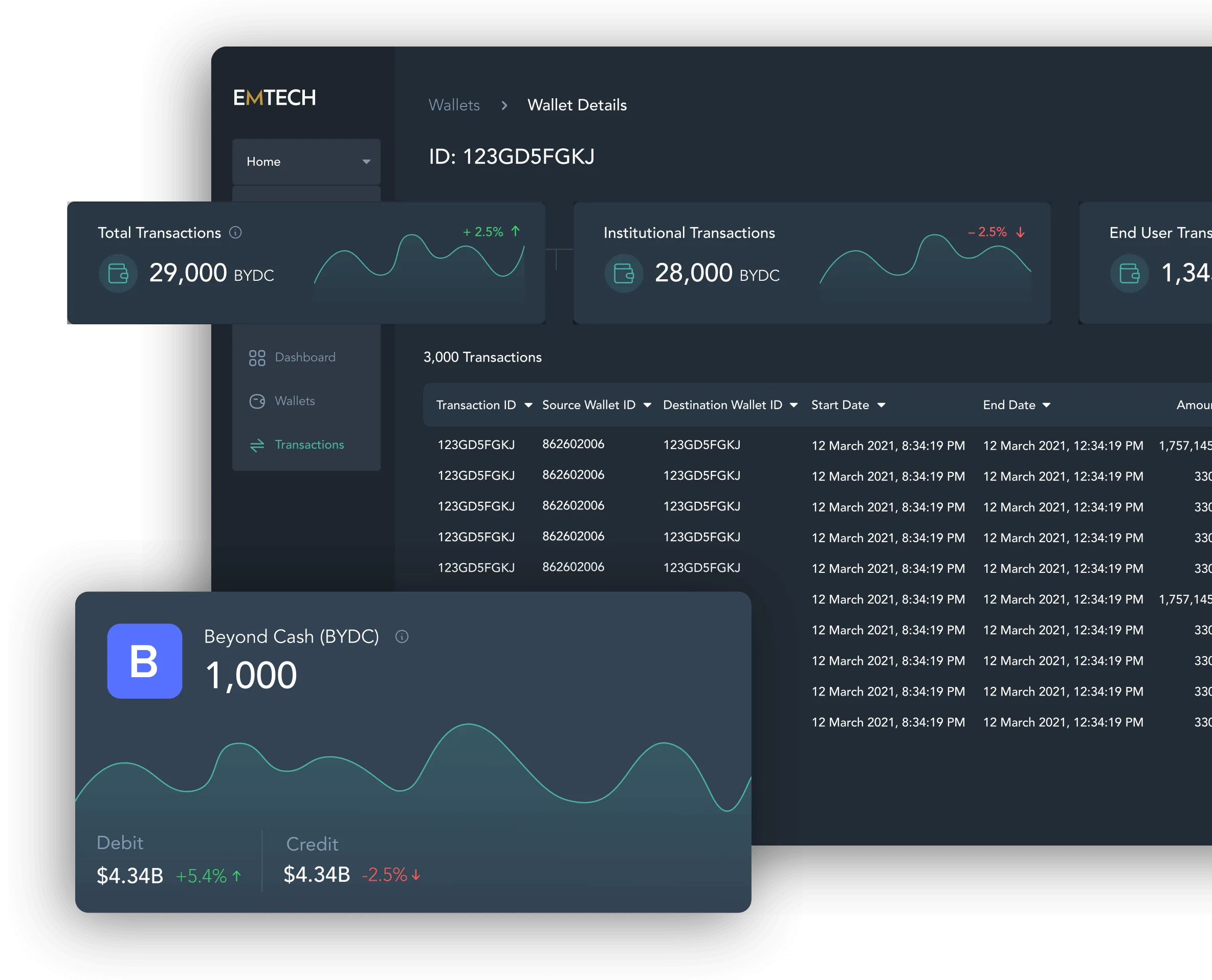 beyond cash fsp dashboard